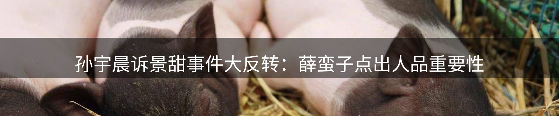 公司盘点