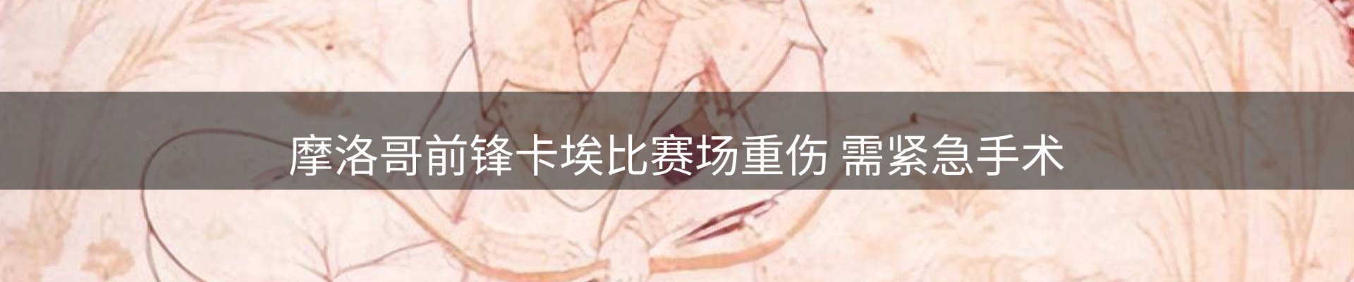 公司盘点