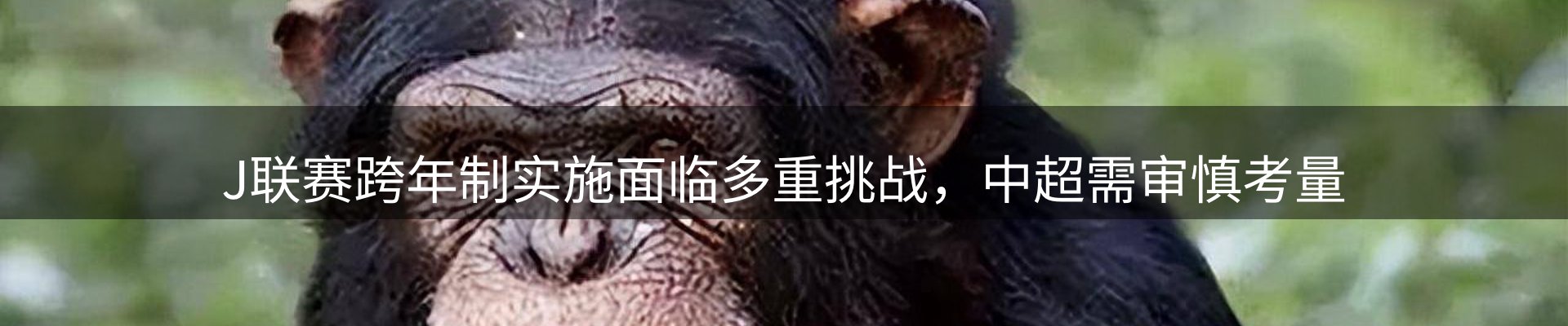 公司盘点